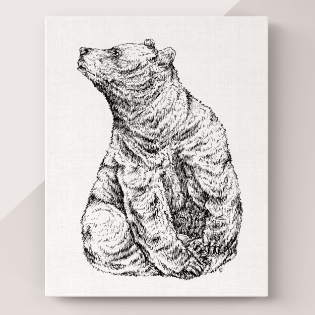 Illustrazione di orso Bruno in portfolio progetti grafica - Design e grafica di Francesca Ciao